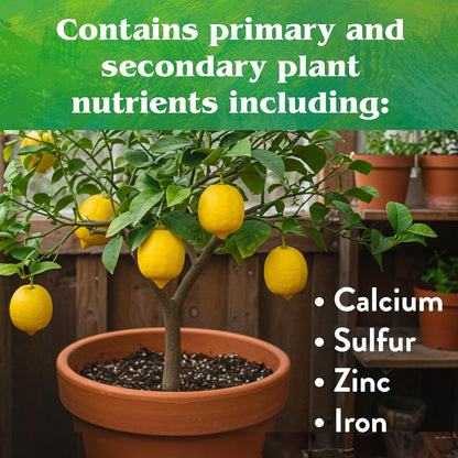 Down To Earth All Natural Fertilizers Organic Citrus Mix - 6-3-3, 1 lb