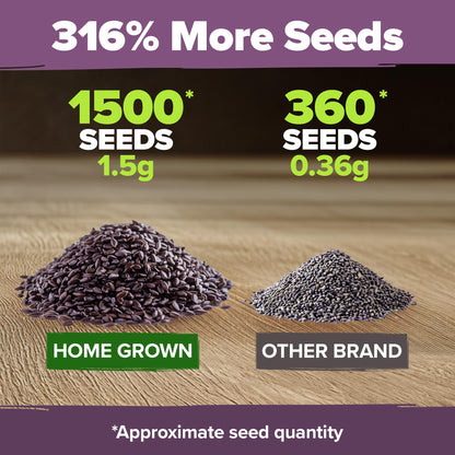 HOME GROWN 𝗨𝗦𝗔 𝗣𝗥𝗘𝗠𝗜𝗨𝗠 Peppermint Seeds Pack – 2,370 𝗡𝗢𝗡-𝗚𝗠𝗢 Heirloom Mint Seeds for Planting. Grow Peppermint Plants in Your Herb Garden Indoors or Outdoors (Mentha x piperita)