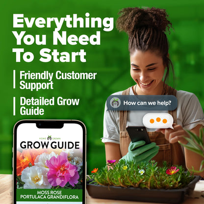 HOME GROWN 𝗨𝗦𝗔 𝗣𝗥𝗘𝗠𝗜𝗨𝗠 Zinnia Dahlia Seeds Pack for 2025 – 524 𝗡𝗢𝗡-𝗚𝗠𝗢 Flower Seeds | Vibrant Zinnia Elegans for Pollinator Gardens, Borders & Containers | Easy-to-Grow Outdoor Blooms