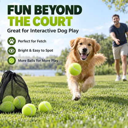 INSUM Tennis Balls, Extra Duty Practice Tennis Balls with Mesh Bag