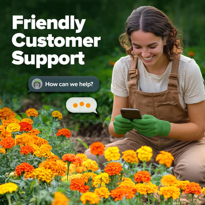 HOME GROWN 𝗨𝗦𝗔 𝗣𝗥𝗘𝗠𝗜𝗨𝗠 Zinnia Dahlia Seeds Pack for 2025 – 524 𝗡𝗢𝗡-𝗚𝗠𝗢 Flower Seeds | Vibrant Zinnia Elegans for Pollinator Gardens, Borders & Containers | Easy-to-Grow Outdoor Blooms
