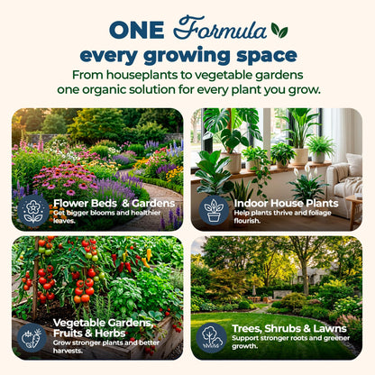 Organic Plant Magic Fertilizer & Plant Food for House Plants & Garden 1/2lb