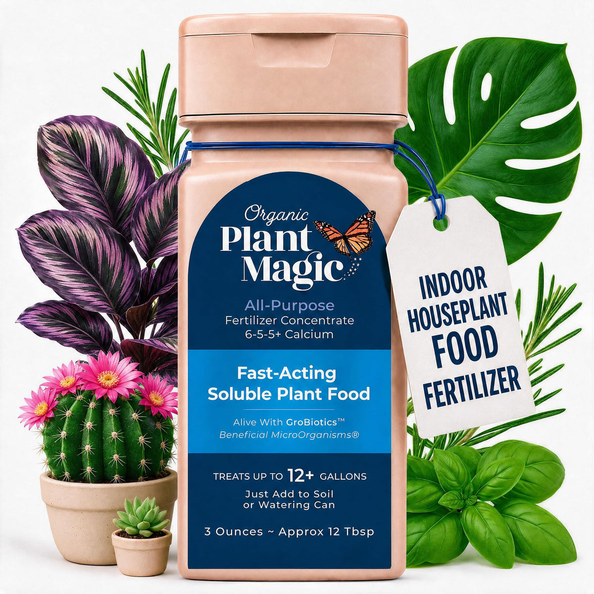 Organic Plant Magic Fertilizer & Plant Food for House Plants & Garden 1/2lb
