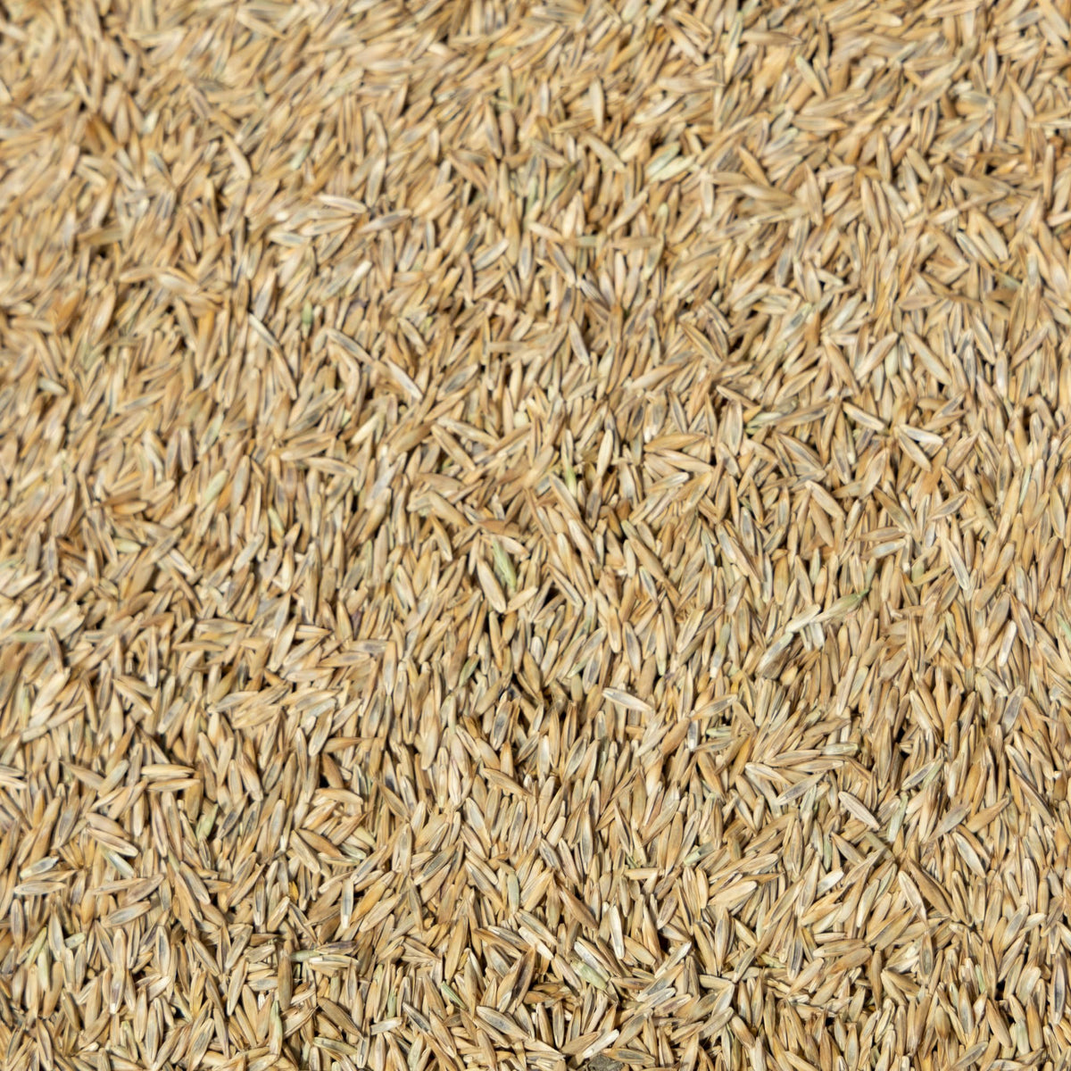 Jonathan Green Black Beauty Ultra Grass Seed - 7 lb