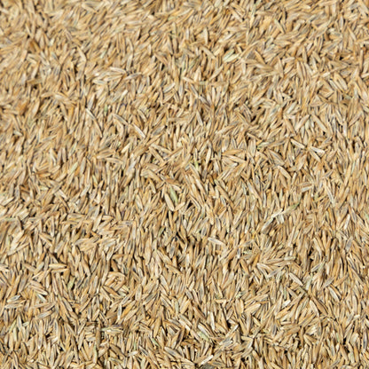 Jonathan Green Black Beauty Ultra Grass Seed - 7 lb