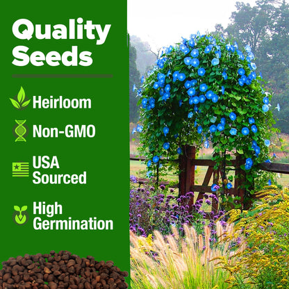 HOME GROWN 𝗨𝗦𝗔 𝗣𝗥𝗘𝗠𝗜𝗨𝗠 Zinnia Dahlia Seeds Pack for 2025 – 524 𝗡𝗢𝗡-𝗚𝗠𝗢 Flower Seeds | Vibrant Zinnia Elegans for Pollinator Gardens, Borders & Containers | Easy-to-Grow Outdoor Blooms