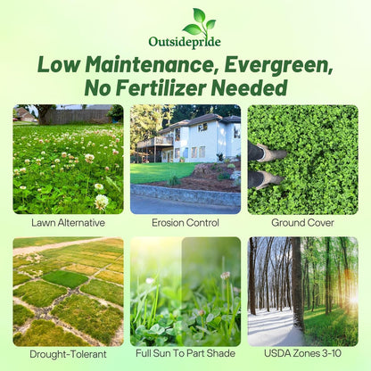Outsidepride Perennial White Dutch Clover Seed - 5 lbs. Nitrocoated, Inoculated for Lawn Alternative, Erosion Control, Food Plots, Ground Cover, & Pasture Mixtures in USDA Zones 3-10