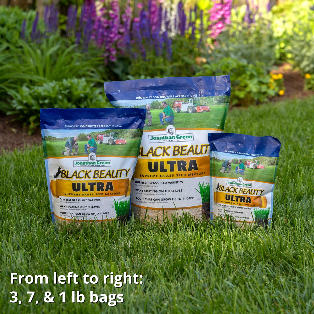 Jonathan Green Black Beauty Ultra Grass Seed - 7 lb