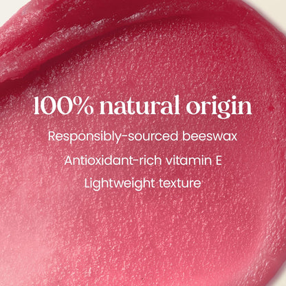 Burt's Bees 100% Natural Moisturizing Lip Balm (Original Beeswax)