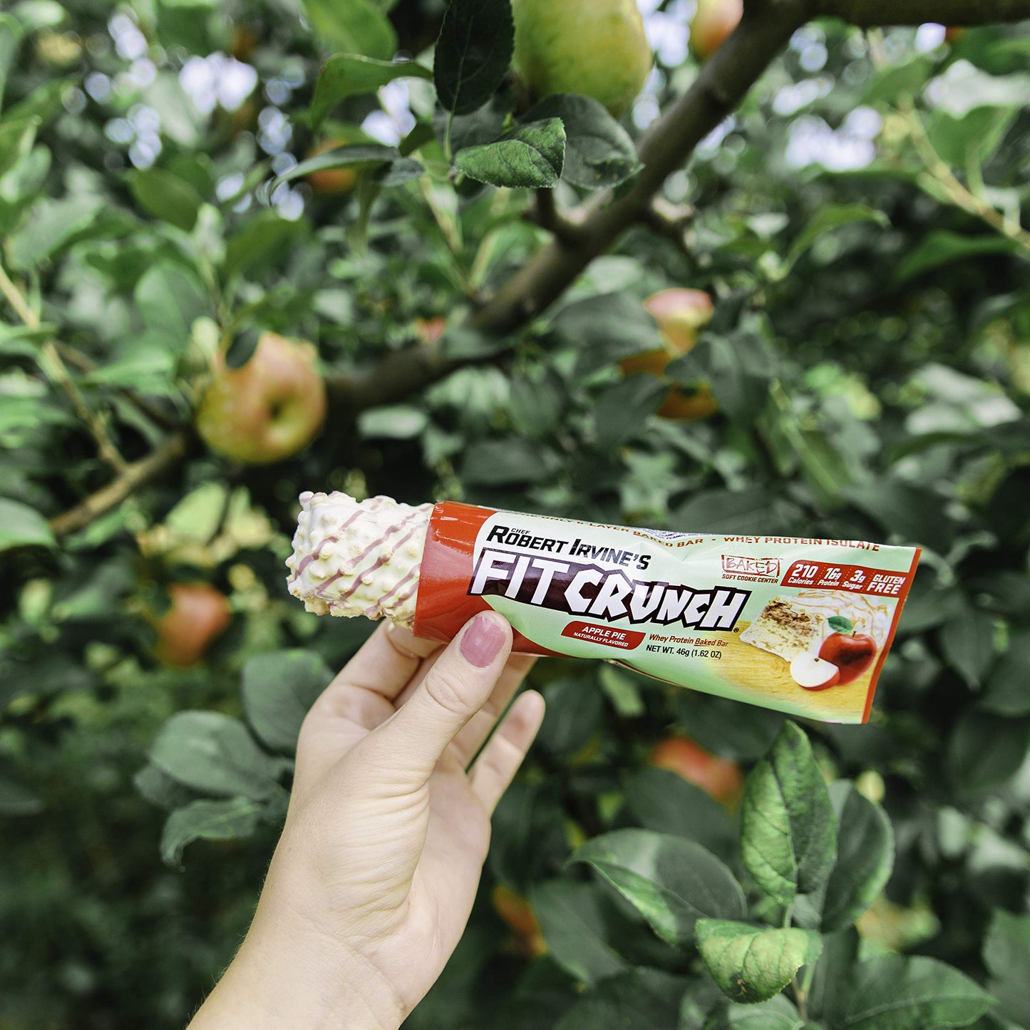 FITCRUNCH Snack Size Protein Bars, 6-Layer Baked Bar, 3g of Sugar, Gluten Free & Soft Cake Core (9 Count, Flavor Lovers)