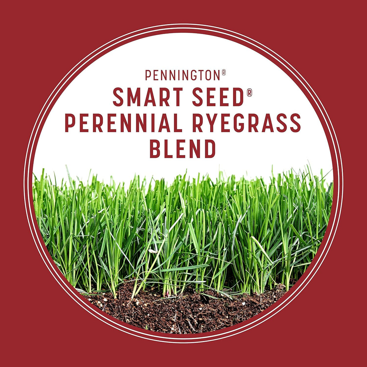 Pennington Smart Seed Perennial Rye Grass Seed Plus Fertilizer, 3 lb