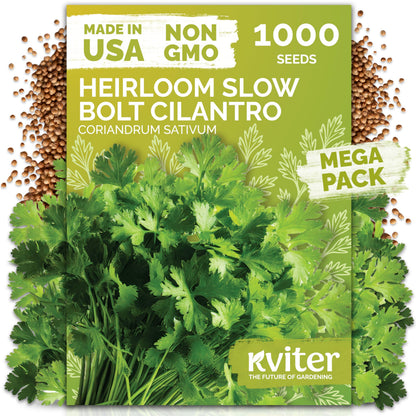 KVITER 500 Lemon Thyme Seeds for Planting (Thymus Pulegioides) – Wild Creeping Thyme Seeds Ground Cover, Aromatic & Drought-Tolerant Herbaceous Flower – Ideal for Walls, Fences & Herb Garden
