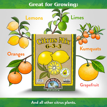 Down To Earth All Natural Fertilizers Organic Citrus Mix - 6-3-3, 1 lb