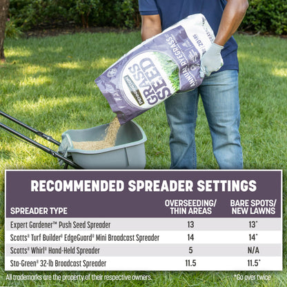 Pennington Annual Ryegrass, Grass Seeds for Lawn, 10 Lb