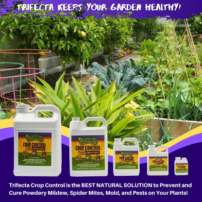 Trifecta Crop Control Ready to Use Maximum Strength Natural Pesticide, Fungicide, Miticide, Insecticide, Help Defeat Spider Mites, Powdery Mildew, Botrytis and Mold on Plants 32 OZ Size