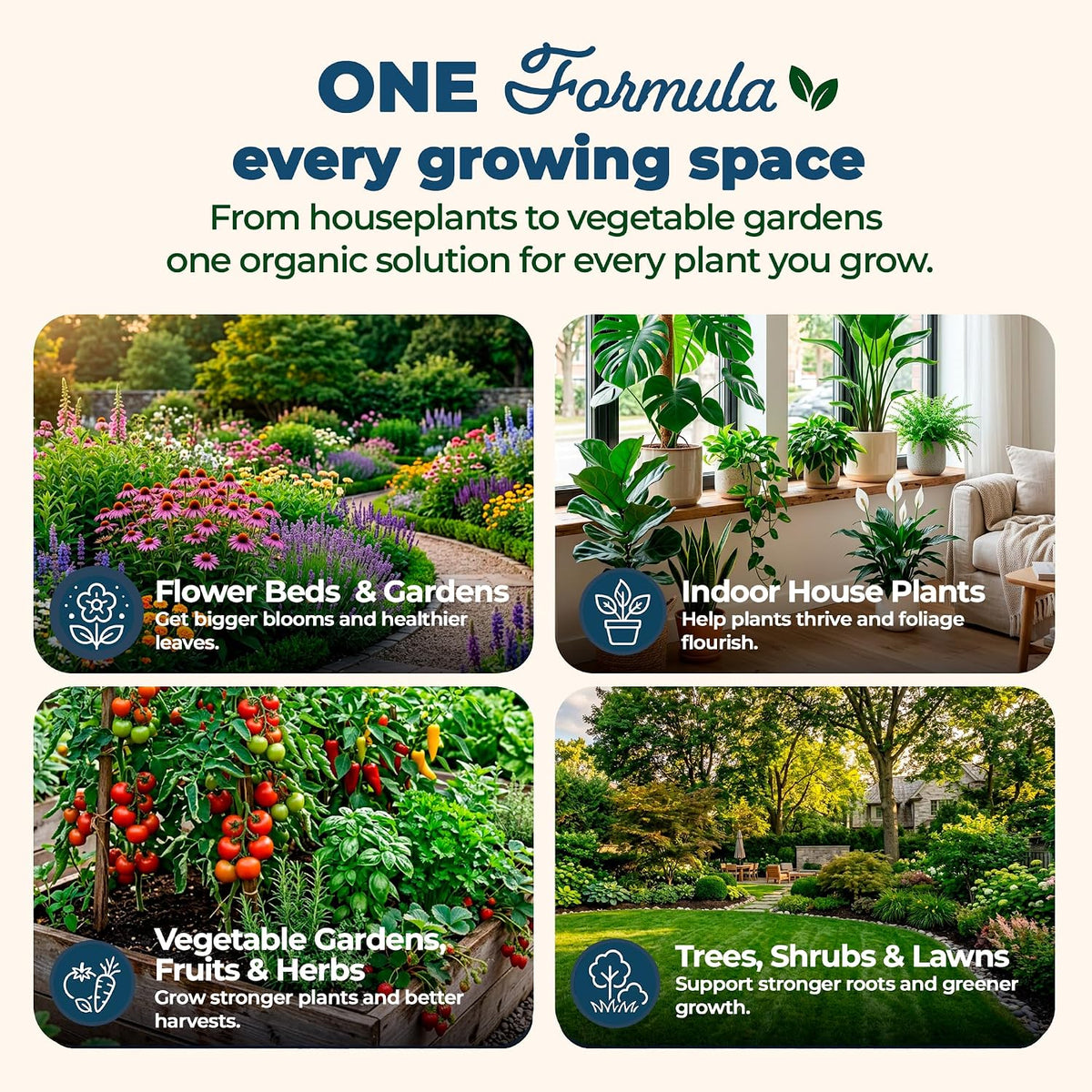 Organic Plant Magic Fertilizer & Plant Food for House Plants & Garden 1/2lb