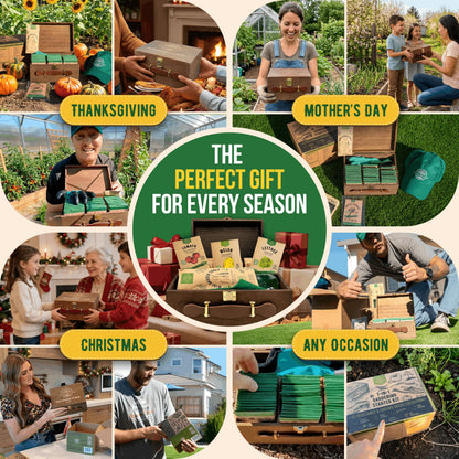 55 Vegetable Seeds Variety Pack - 35,600+ Non-GMO Heirloom Seeds for Planting Vegetables and Fruits in Individual Seed Packets, Home Garden Seeds for Hydroponic, Indoor and Outdoors Gardening