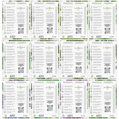 Seed Needs, Herb Seeds Variety Pack Culinary Herb Collection (12 Individual Herbs for Planting Indoors or Outdoors) Grow Your Own Organic Herb Garden - Heirloom, Non-GMO