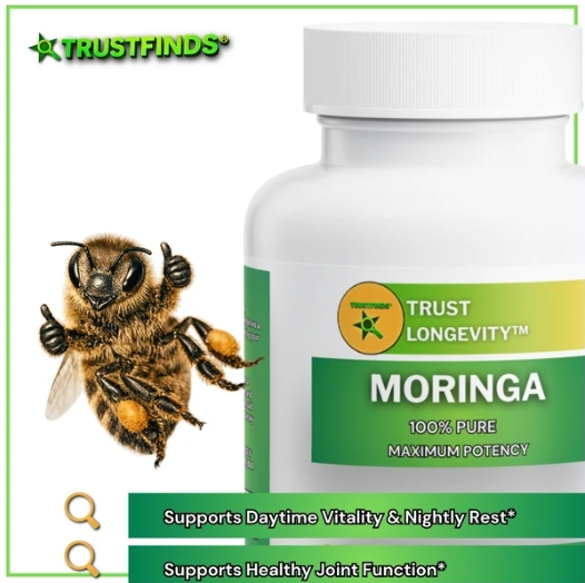 TrustFinds® Pure Moringa Powder, Energy, Skin, Immune & Gut Health Superfood, Rich in Antioxidants, Essential Vitamins & Amino Acids, Natural Green Superfood Supplement - 60 Count